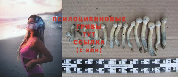 шишки Баксан