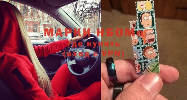 шишки Баксан