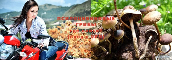гашик Балахна
