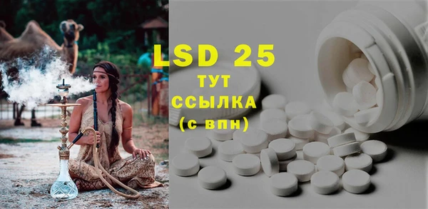 шишки Баксан