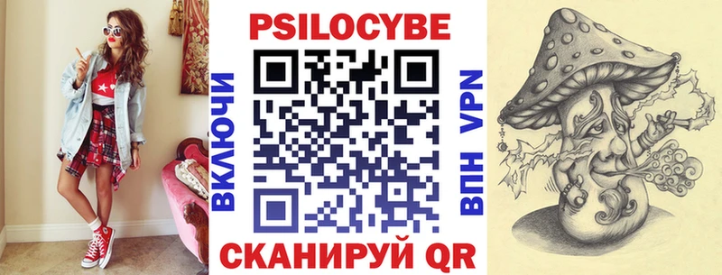 Галлюциногенные грибы Psilocybe  Чудово 